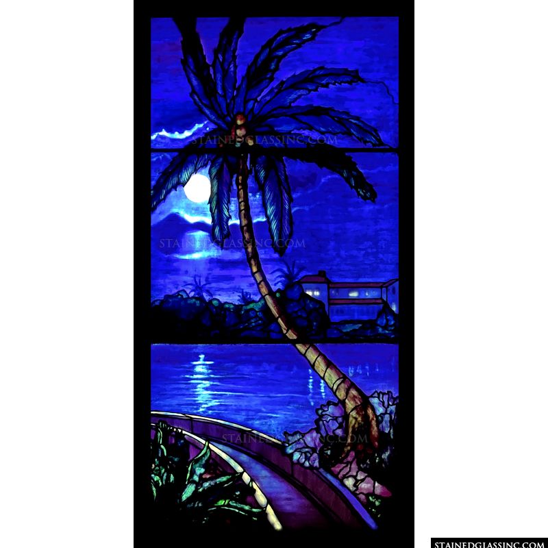 Palm Tree at Night