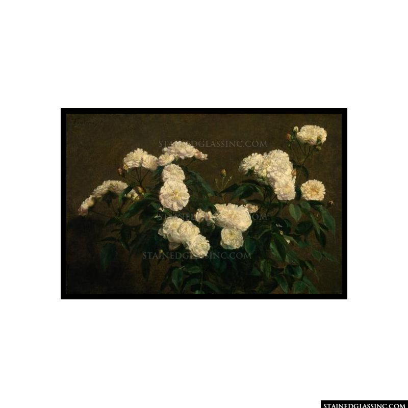 Still Life of White Roses