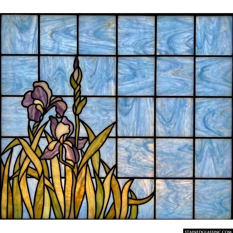 Tranquil Iris In the Window