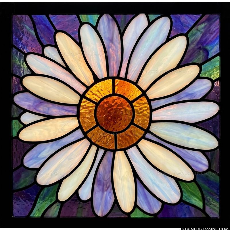 Radiant Daisy in Lavender and Gold