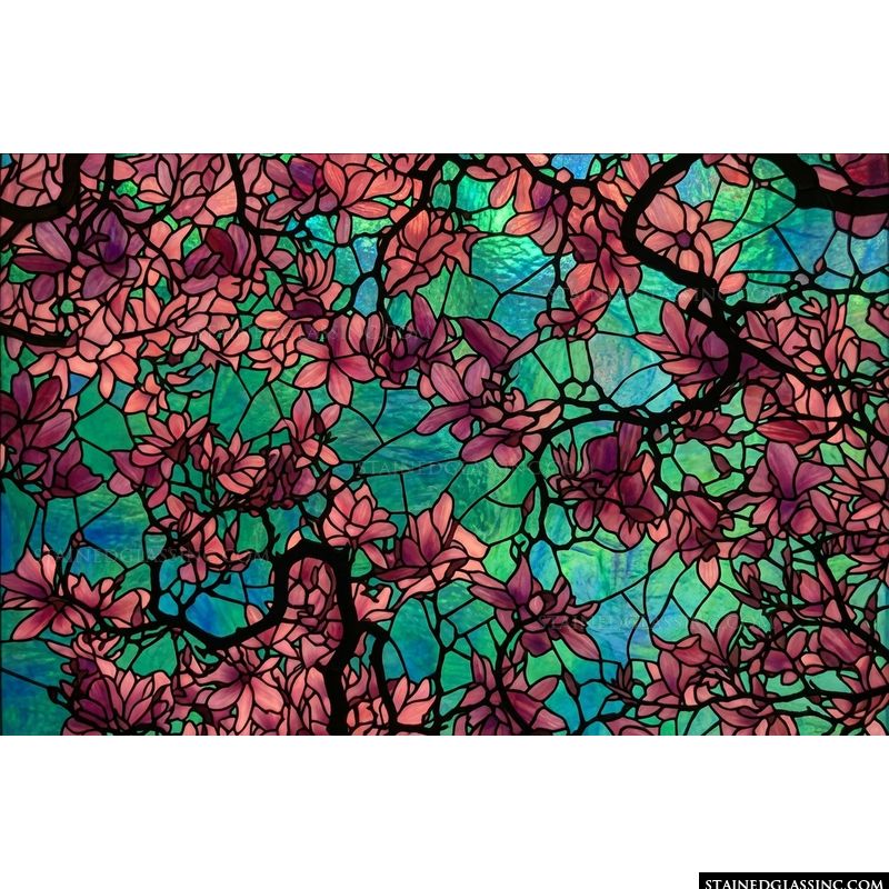 Magnolia Blossoms in Spring