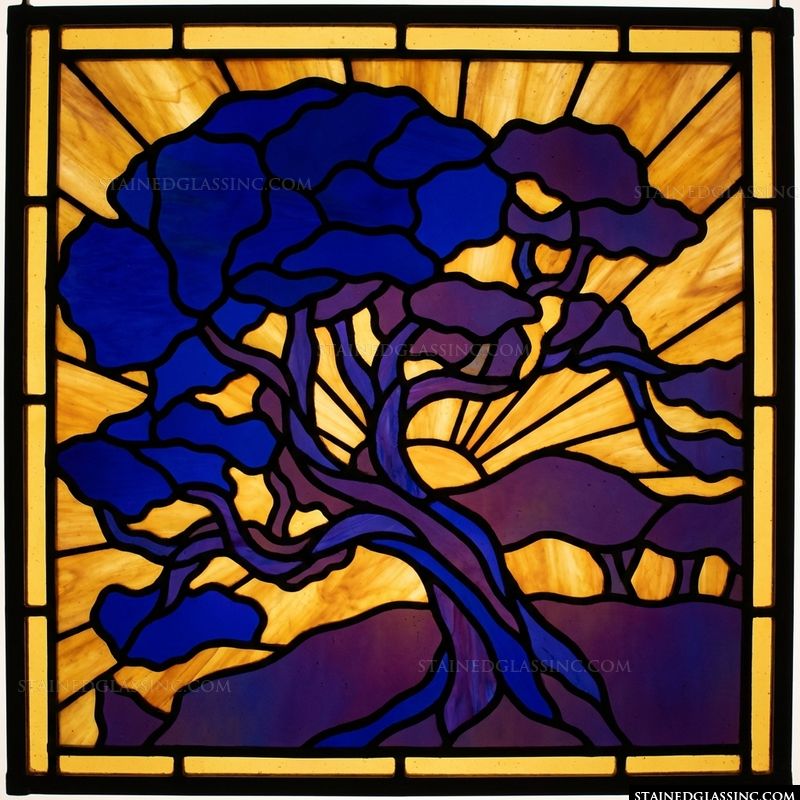 Sunlit Majestic Tree