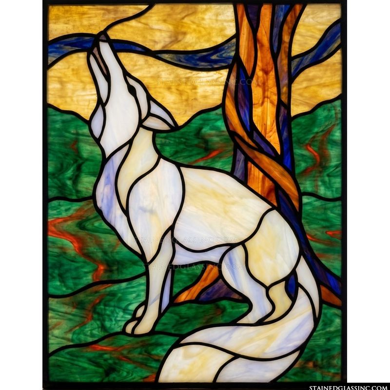 Coyote Howling at Sunset