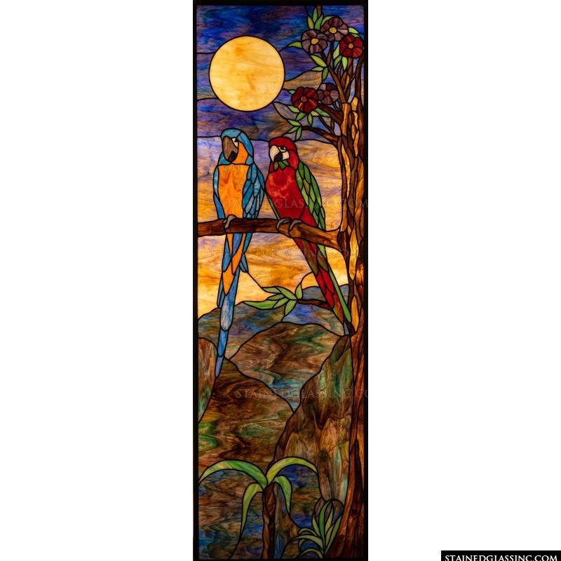 Tropical Macaw Duo at Sunset