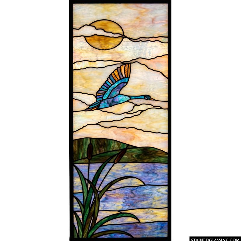 Mallard in Flight Over Lake