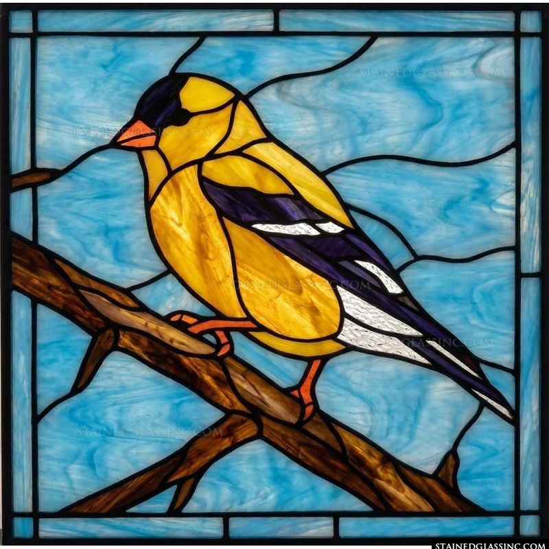 American Goldfinch on Branch