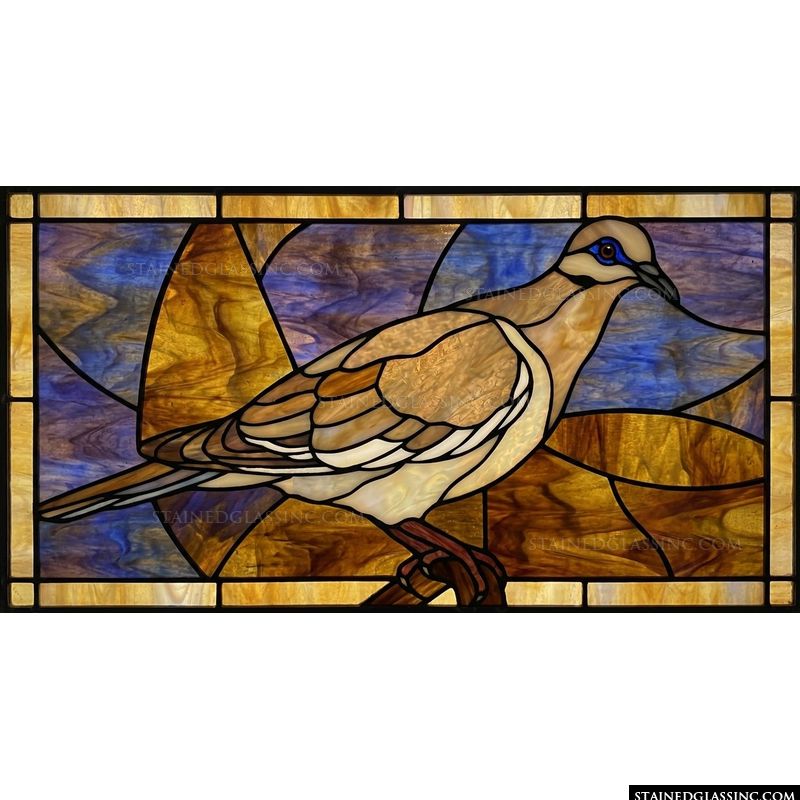 Mourning Dove in Luminous Tones