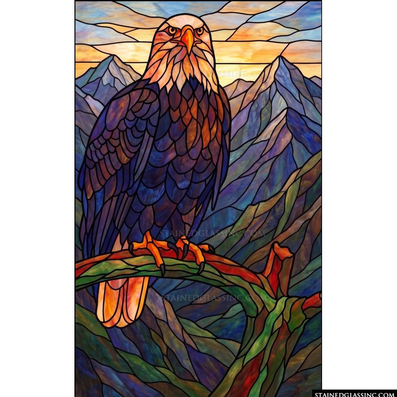 Majestic Bald Eagle at Sunset