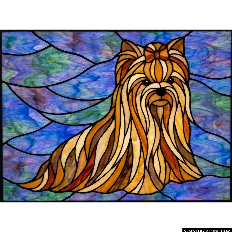 Yorkshire Terrier Portrait