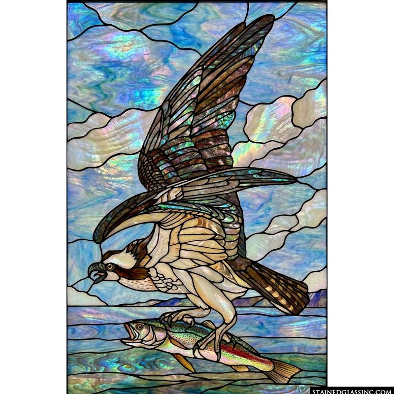 Osprey Catching Fish