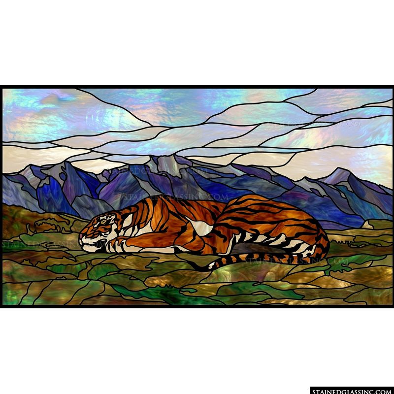 Resting Tiger in the Mountains