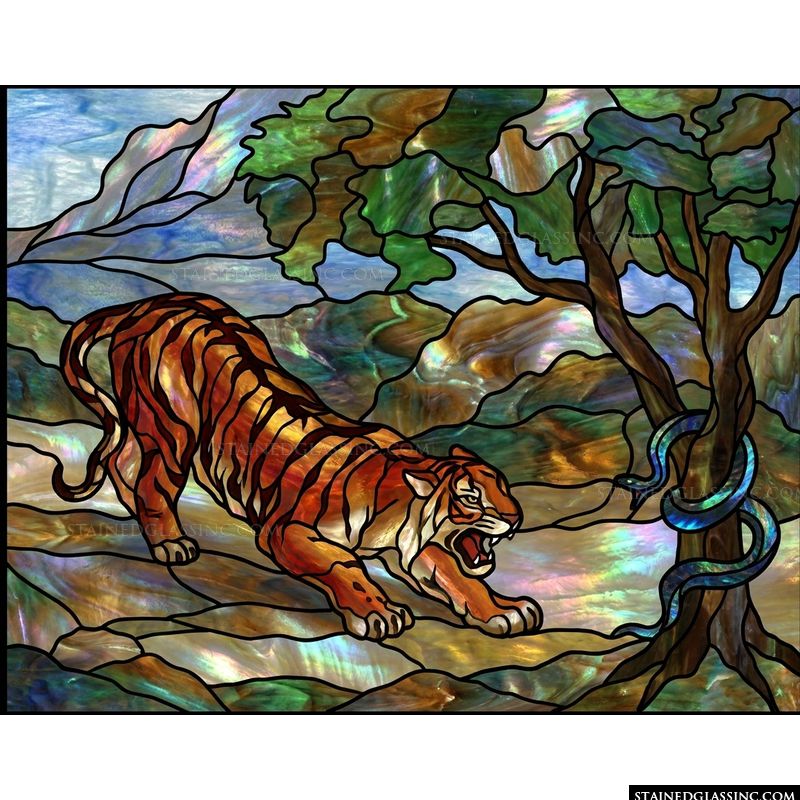 Tiger and Serpent in the Wild