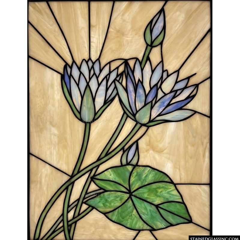 Water Lilies in Cream and Blue