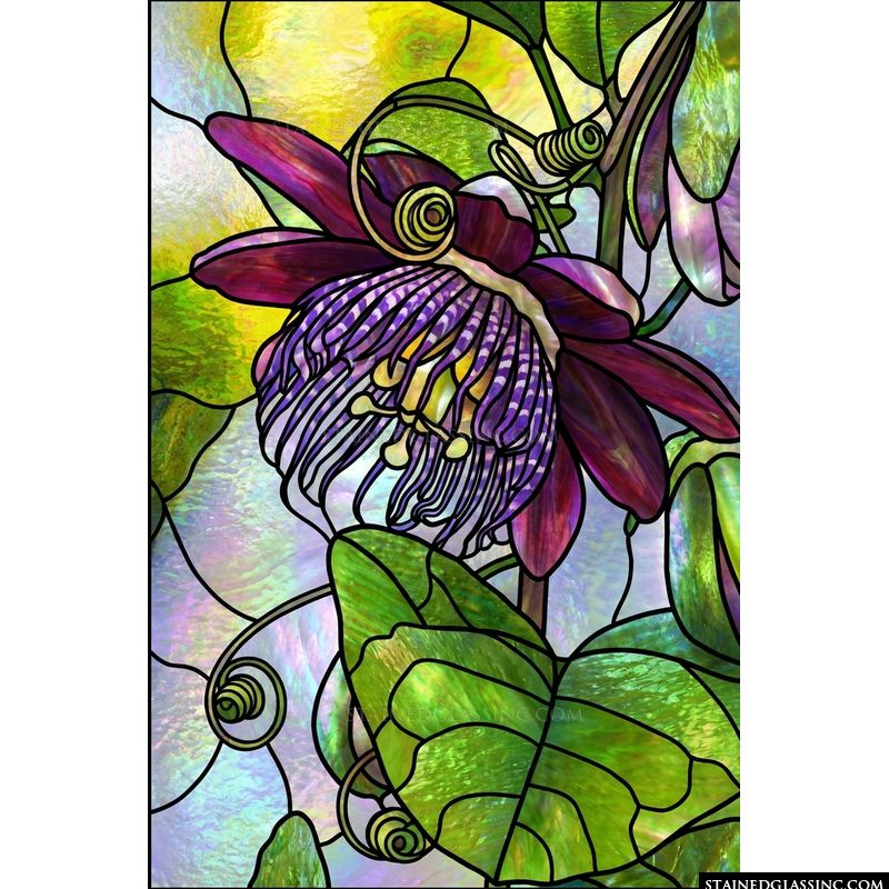 Exotic Purple Passion Flower
