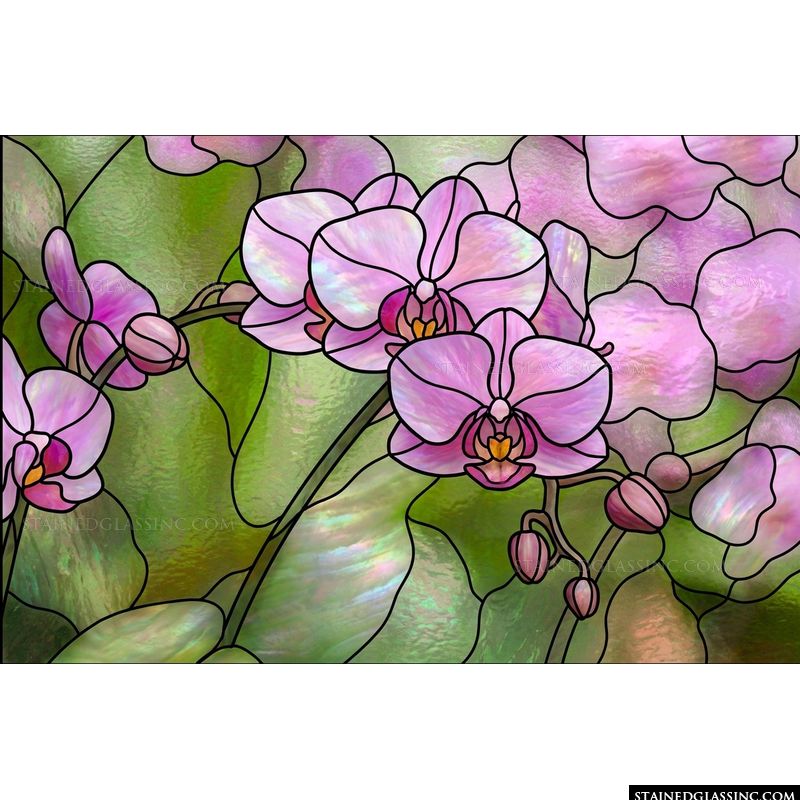 Orchid Blossoms in Soft Violet and Moss Green