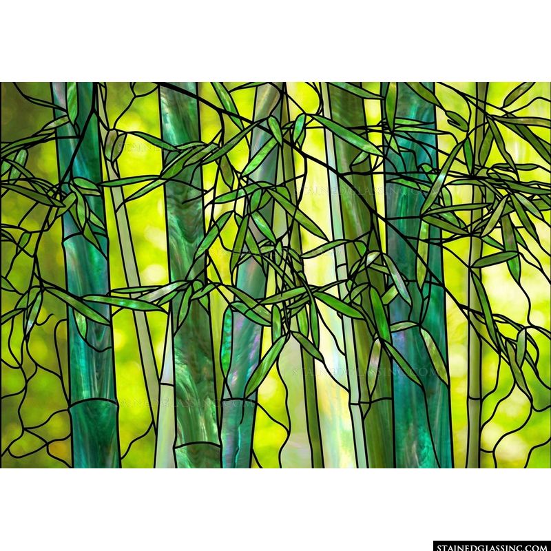 Backlit Bamboo