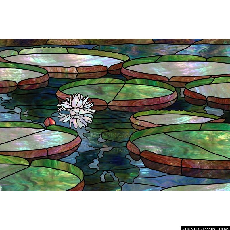 Water Lilies in Pond