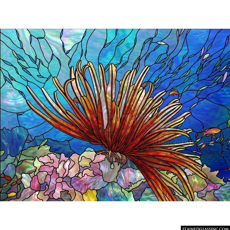 Vibrant Sea Anemone on Coral Reef