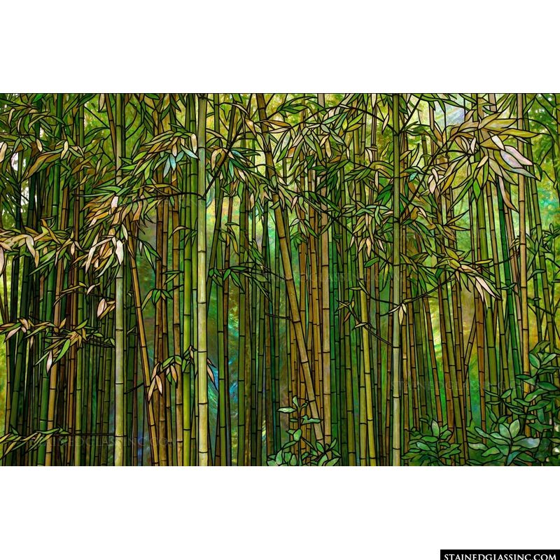 Bamboo Grove in Emerald Light