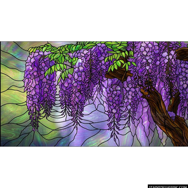 Wisteria Cascades