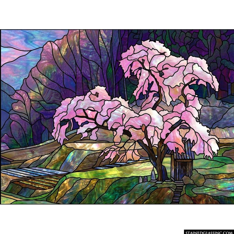 Cherry Blossom Tree on the Mountainside