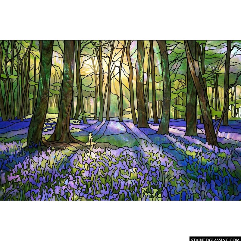 Bluebell Forest at Sunrise
