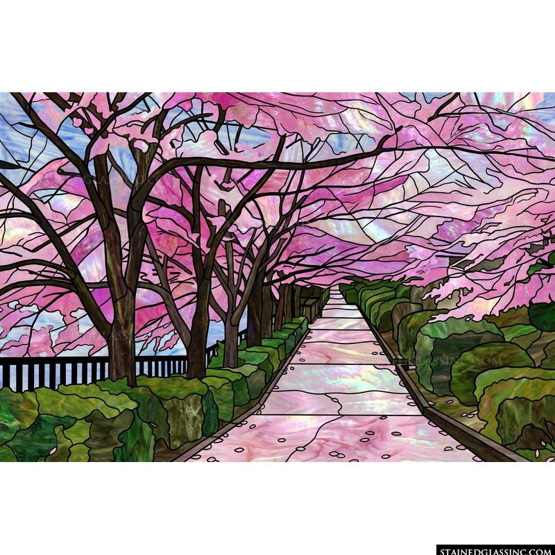 Cherry Blossom Path in Spring