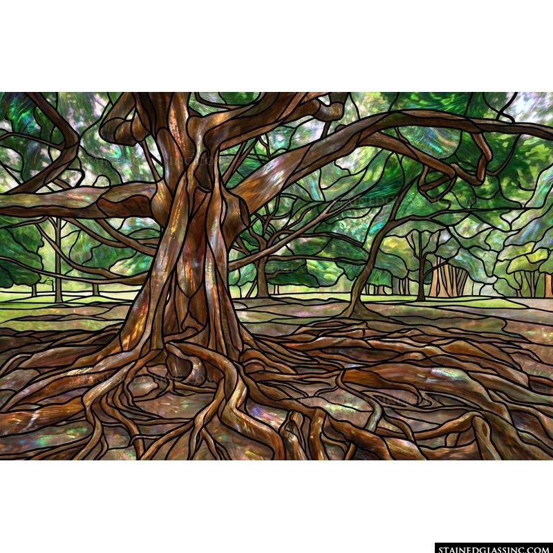 Ancient Banyan Tree