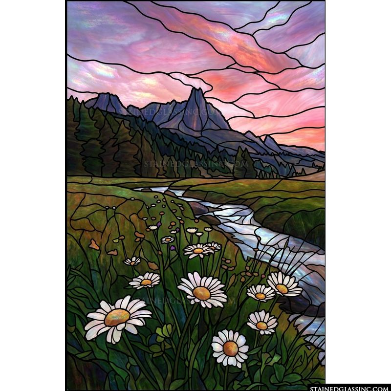 Mountain Meadow Sunset with Daisies