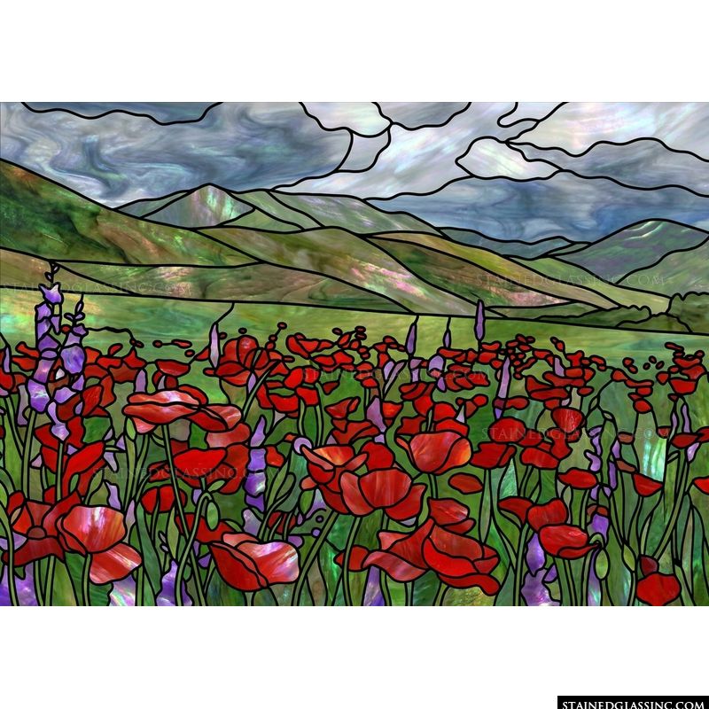 Vibrant Poppy Meadow in the Mountains