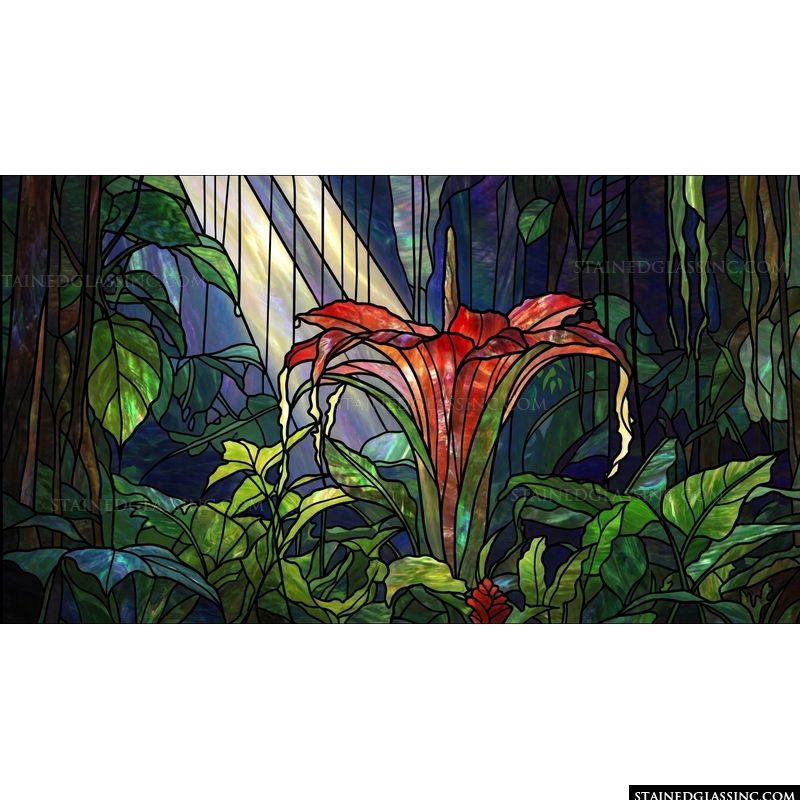 Exotic Tropical Bloom in Sunlight