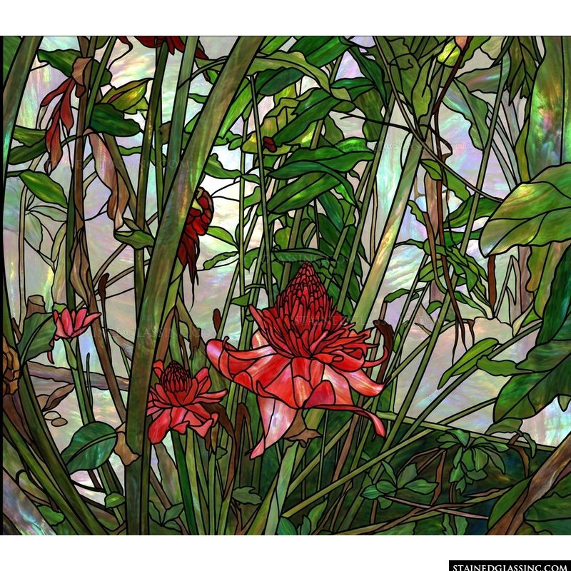 Torch Ginger in Tropical Bloom