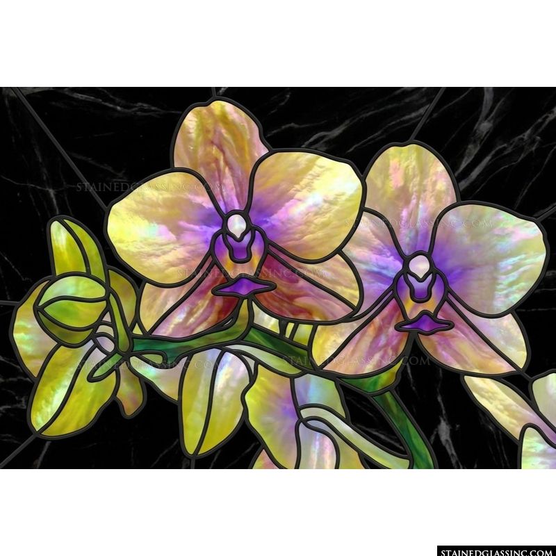 Iridescent Orchids in Bloom