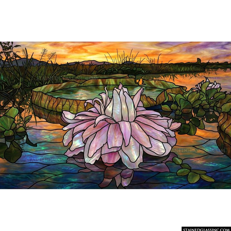 Water Lily at Sunset
