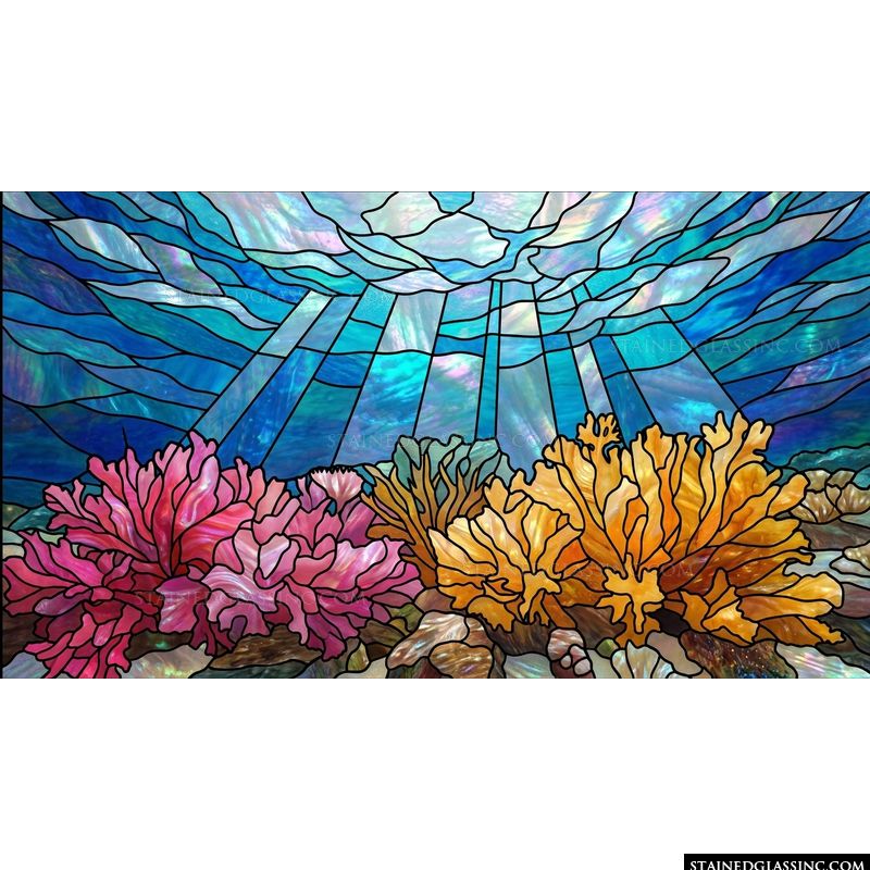 Coral Reef in Sunlight