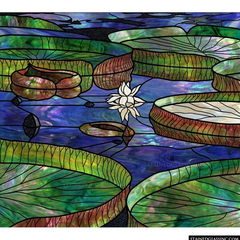 Water Lilies and Floating Pads