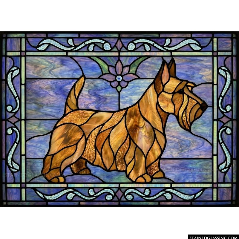 Scottish Terrier in Profile