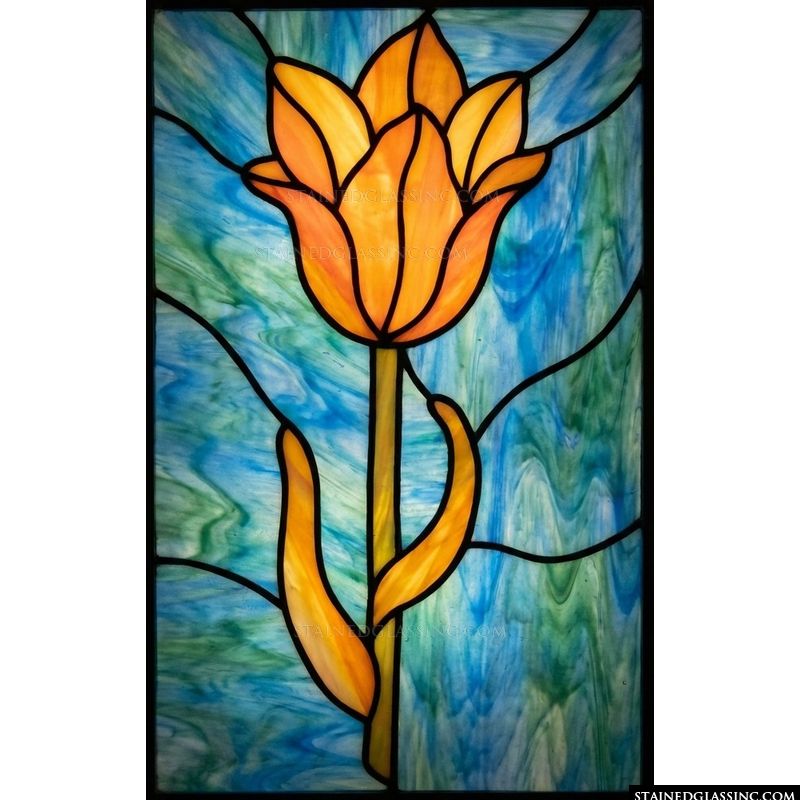 Solitary Golden Tulip