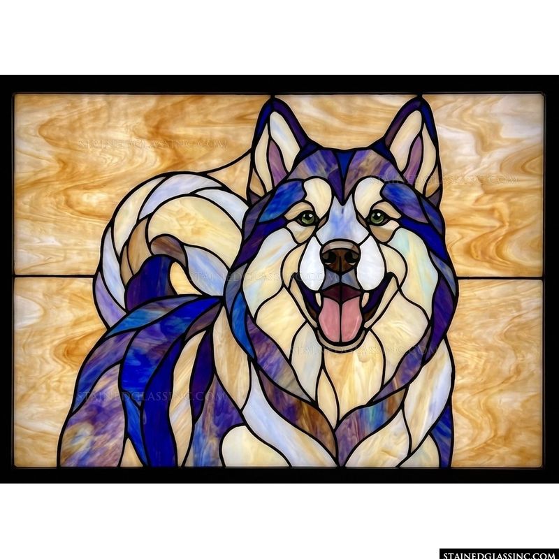 Siberian Husky Portrait