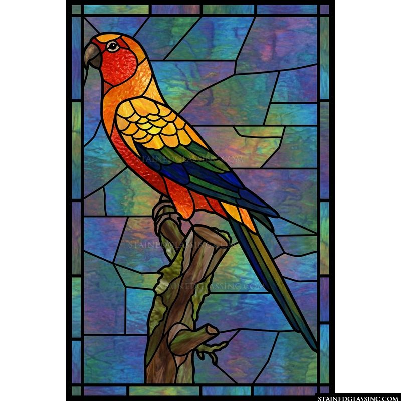 Sun Conure Perched on Mossy Branch