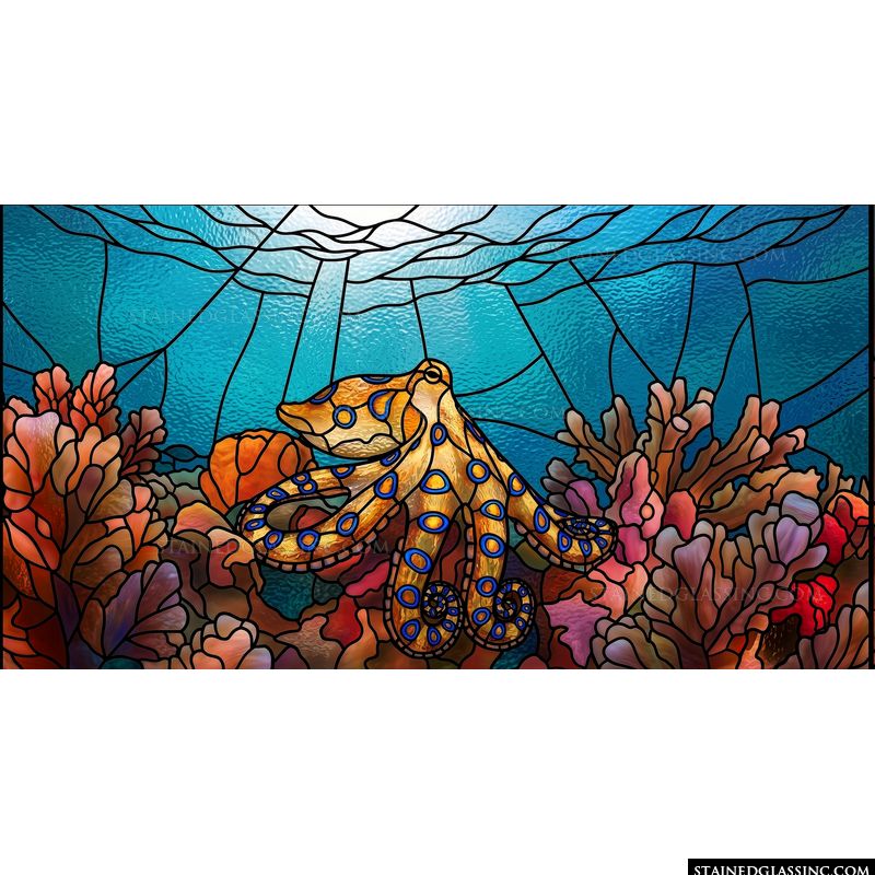 Blue-Ringed Octopus in Coral Reef