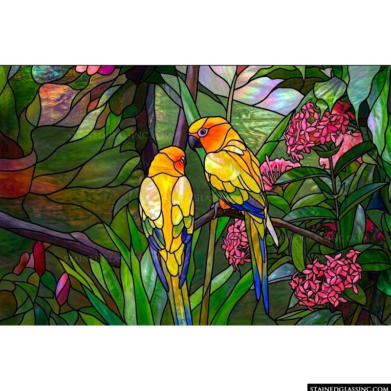 Sun Conures in the Jungle