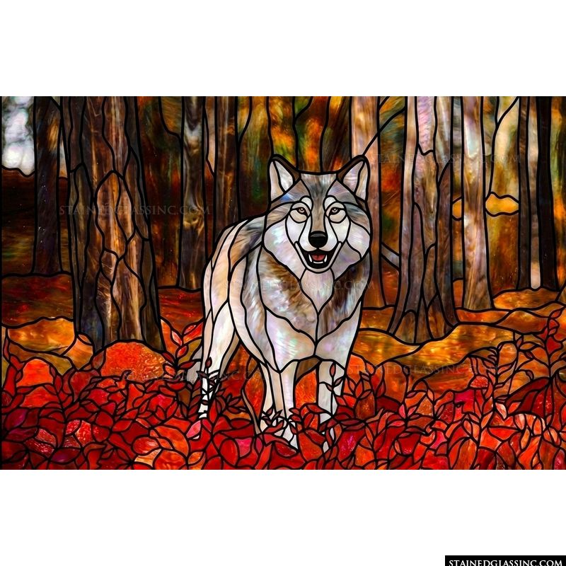 Gray Wolf in Autumn Forest