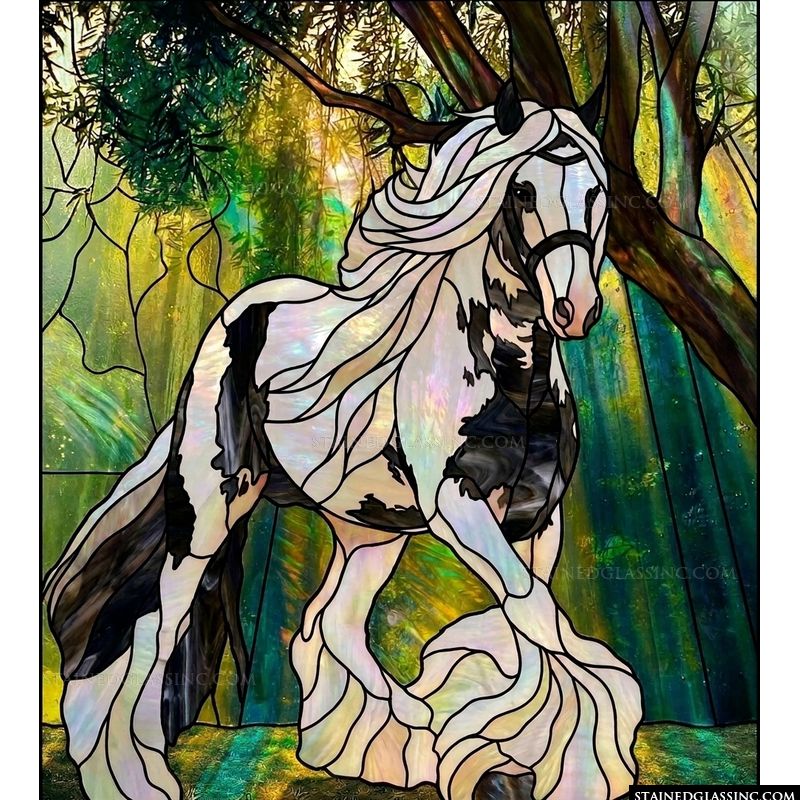 Pinto Horse in the Forest
