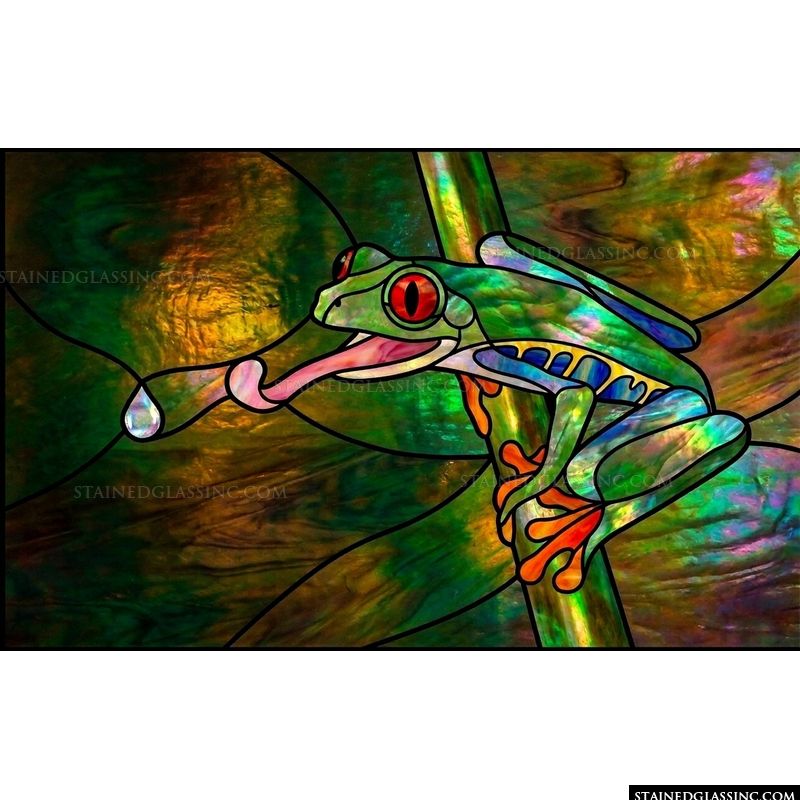 Red-Eyed Tree Frog in the Rainforest
