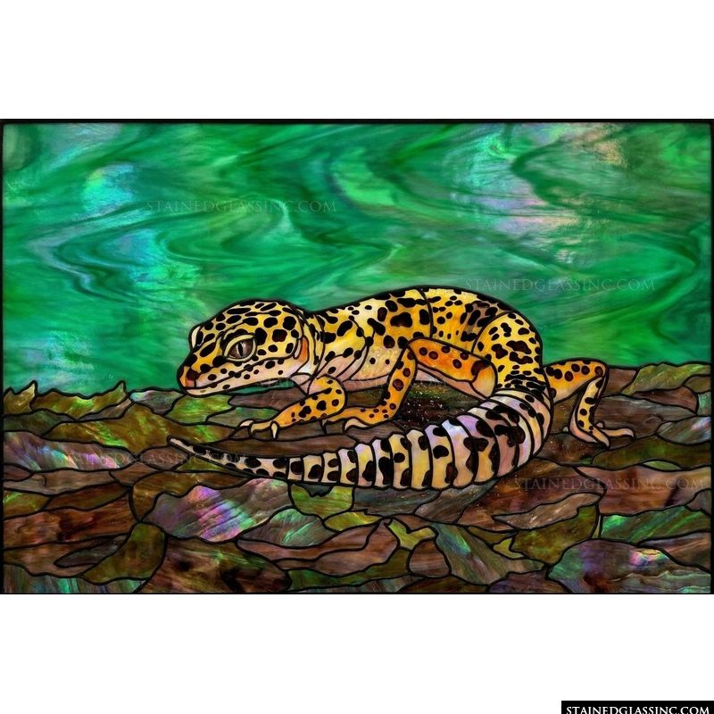 Leopard Gecko