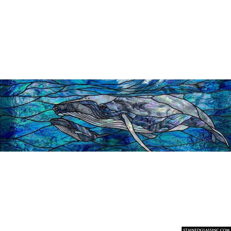 Humpback Whale Mother and Calf