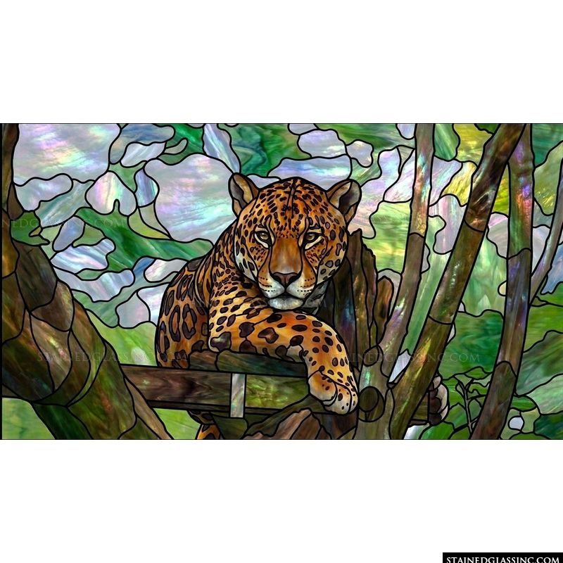 Leopard in the Rainforest Canopy