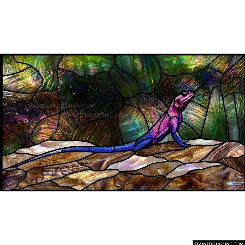 Lizard on Rocks