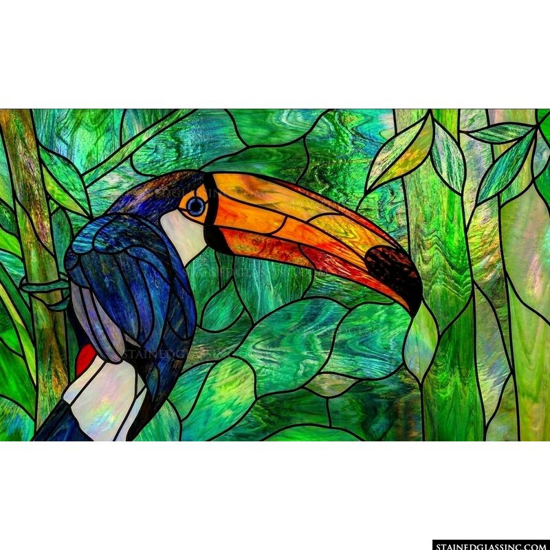 Toco Toucan in the Rainforest